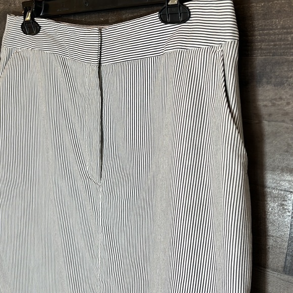 Gray and Black Pin Striped Skirt - Picture 2 of 4